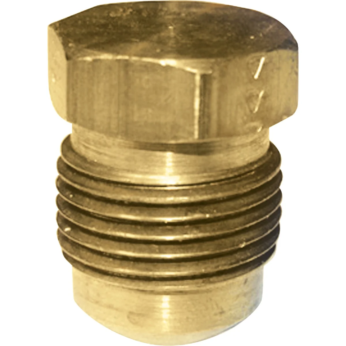 Top-Quality Lasco 3 8 In. Brass Flare Plug Exceptional