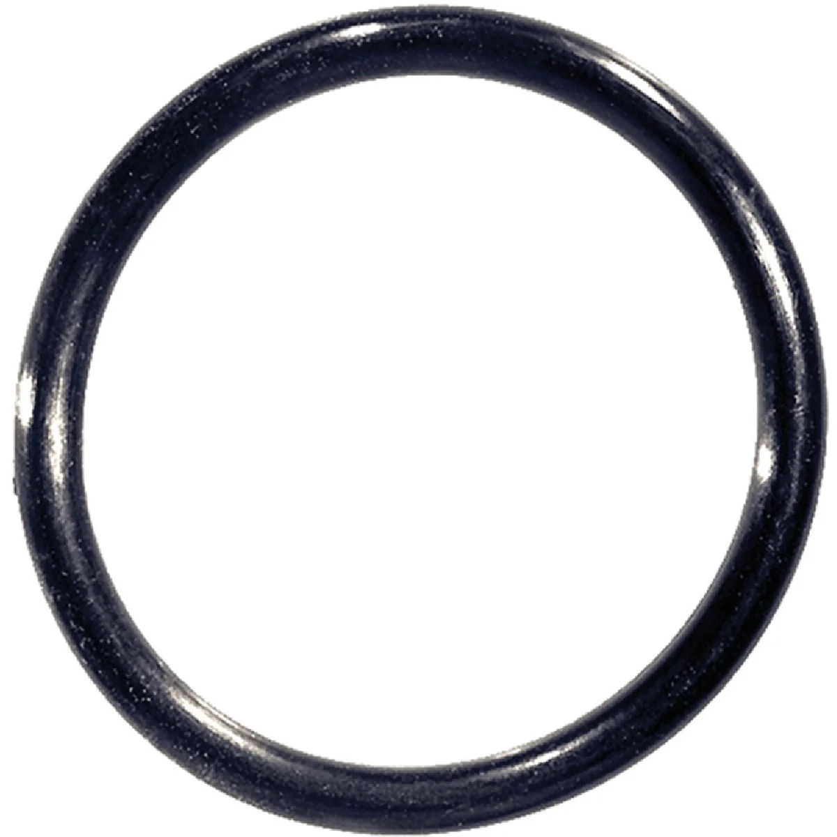 Genuine Danco 100 1-3 4 In. x 2 In. O-Ring Advanced