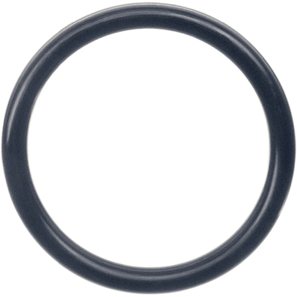 Secure Danco 104 1-11 16 In. x 2-1 2 In. O-Ring Contemporary