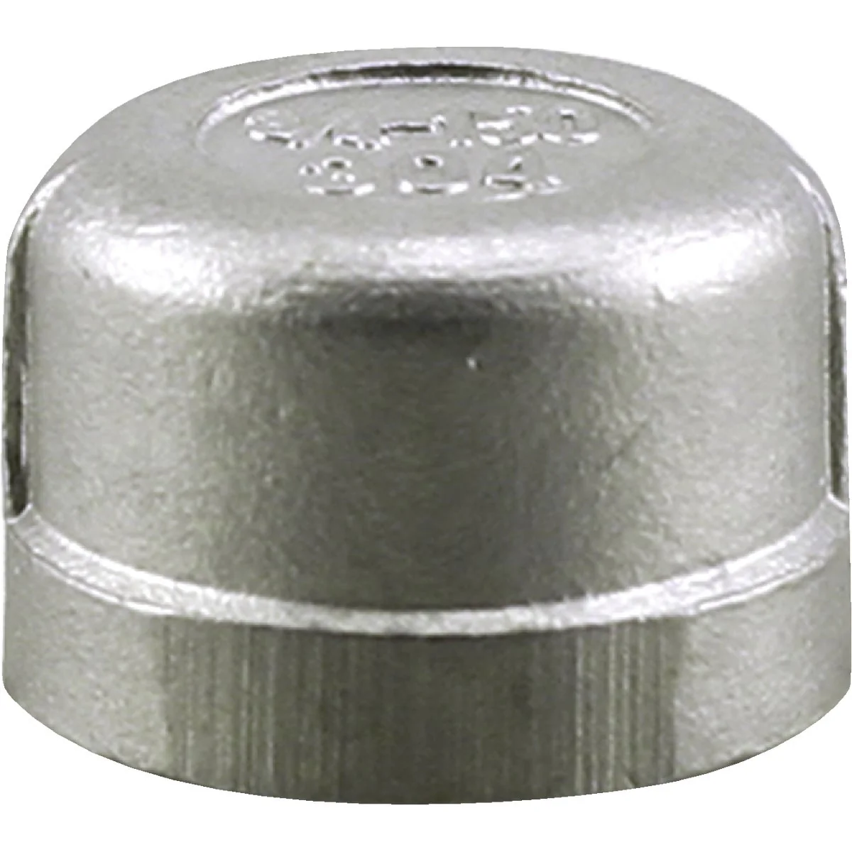 Advanced PLUMB-EEZE 1 In. FIP Stainless Steel Cap Elite
