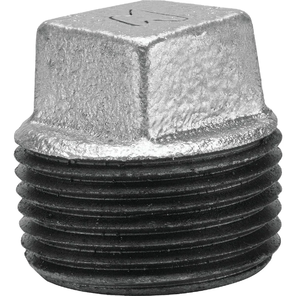 Trendy Anvil 2 In. Malleable Iron Galvanized Plug Authentic