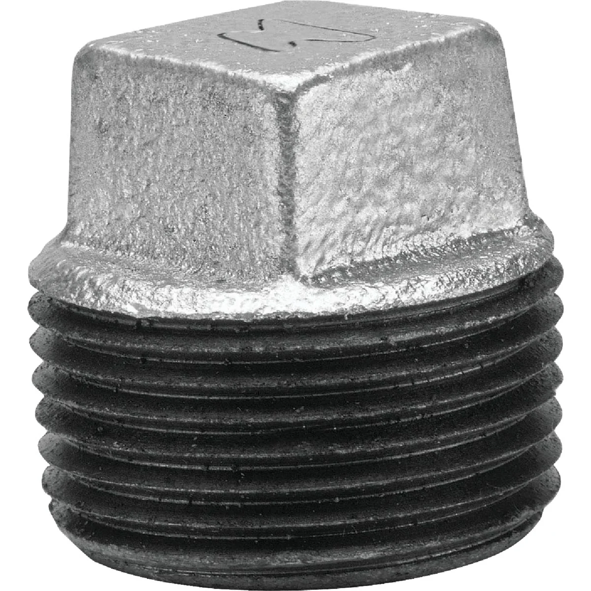 Traditional Anvil 1-1 4 In. Malleable Iron Galvanized Plug Sophisticated