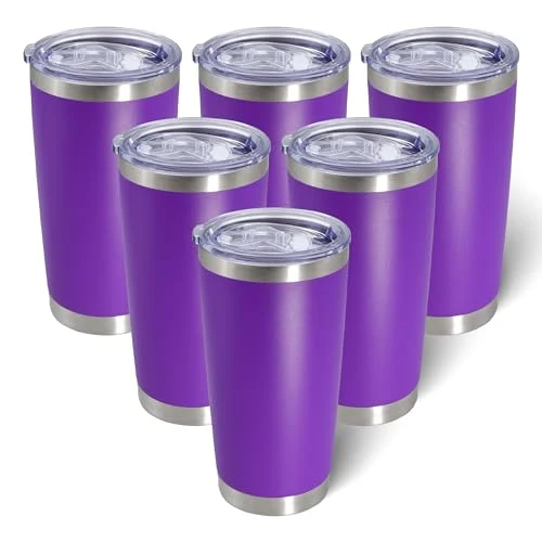 Detailed 20oz Tumbler with Lid Stainless Steel Tumblers Insulated Mug Purple 6P 6 Count Relaxed