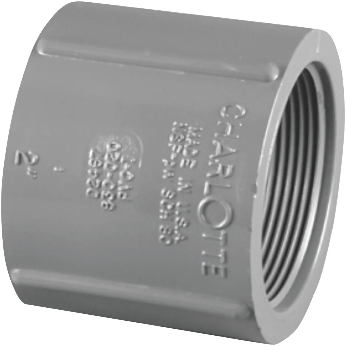 Contemporary Charlotte Pipe 1-1 4 In. FIP x FIP PVC Coupling Prestigious