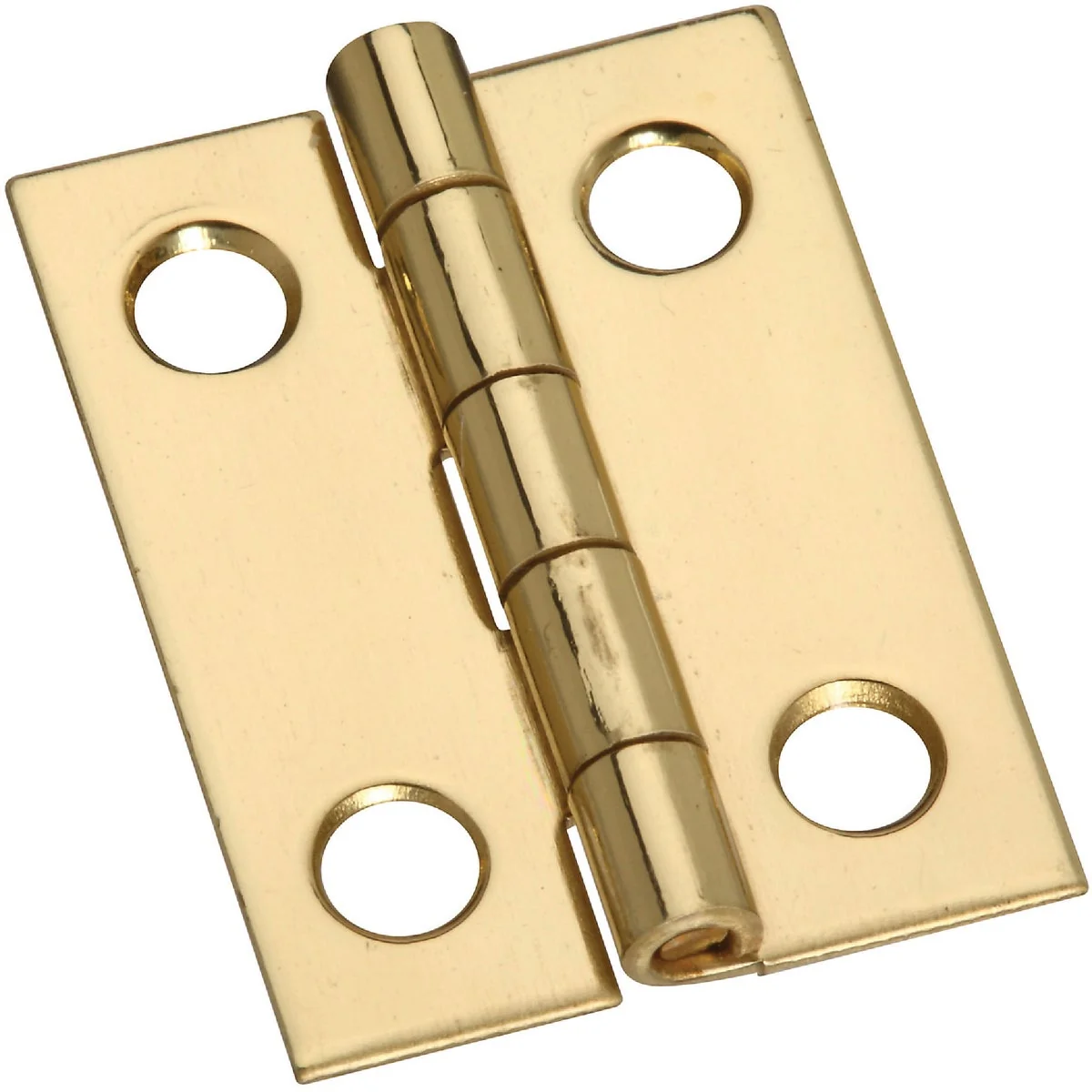 Specialty National 3 4 In. x 1 In. Narrow Brass Decorative Hinge 4-Pack Contemporary