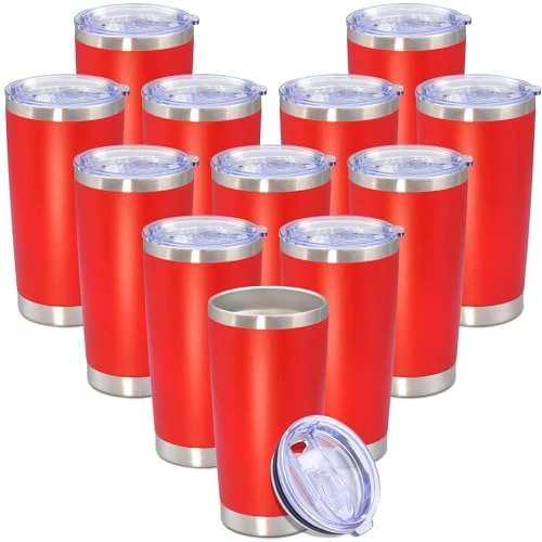 Responsible 20 oz Tumbler Insulated Tumblers Stainless Steel Coffee Mug Durable