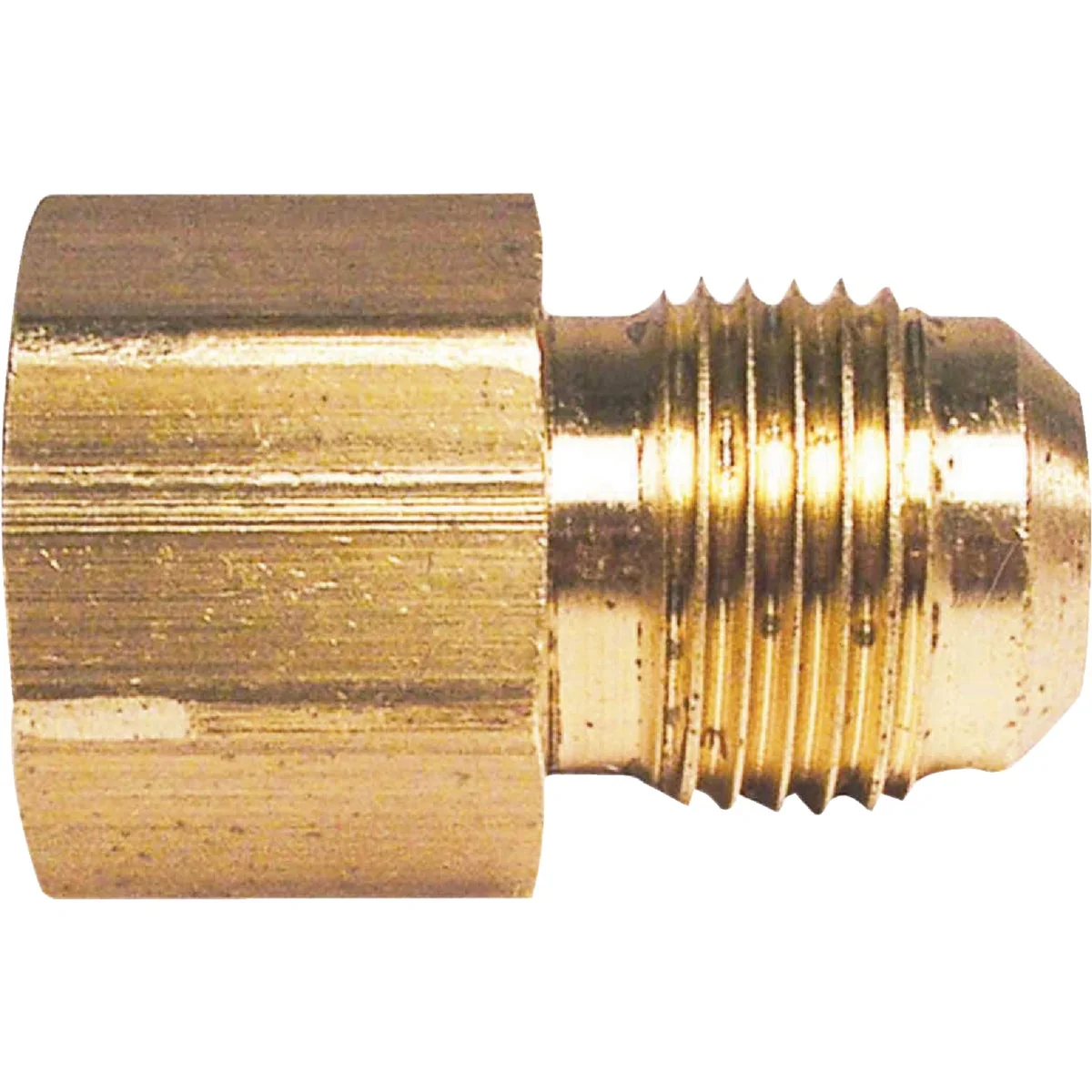 Crafted Do it 3 8 In. x 3 8 In. Brass Female Flare Adapter Premium