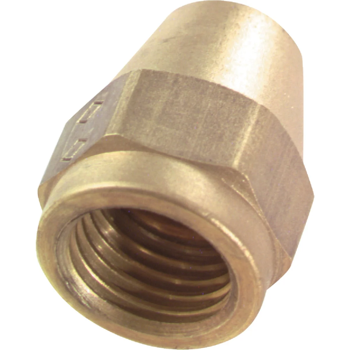 Functional Do it 1 2 In. Brass Low Lead Short Flare Nut Trendy