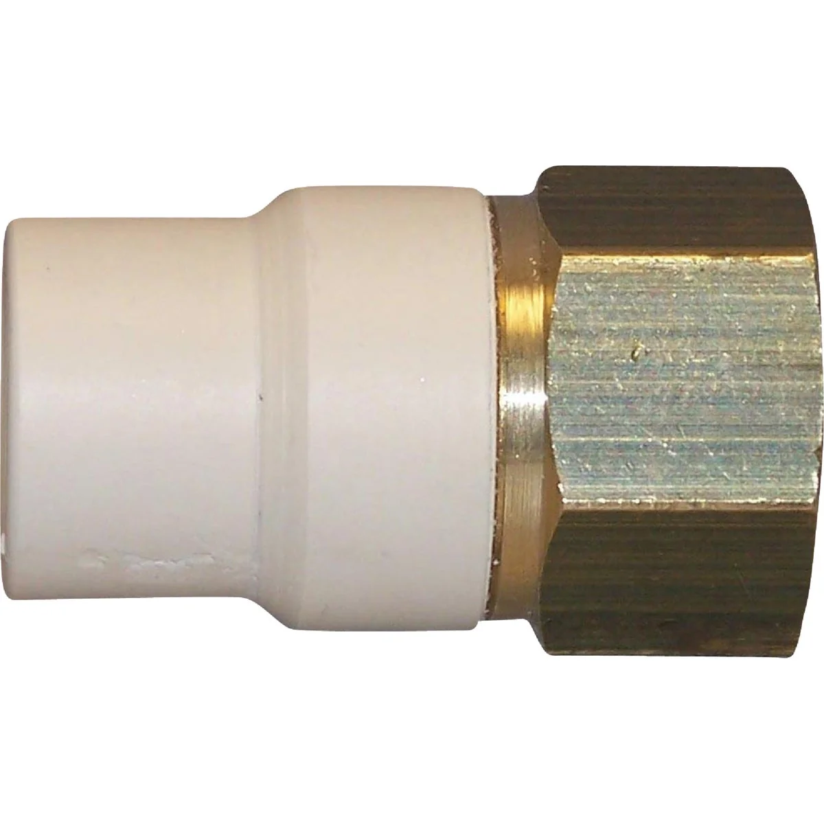 Pure Charlotte Pipe 1 2 In. Slip x Brass FIP CPVC Transition Adapter Organic