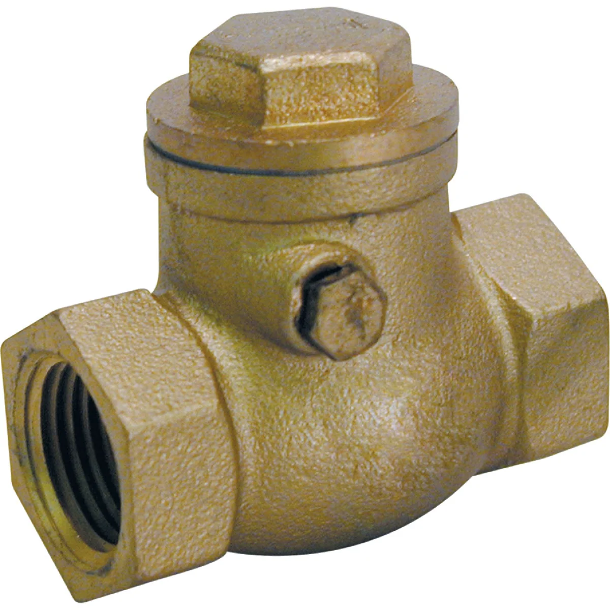 Sophisticated ProLine 1-1 4 In. Brass Swing Check Valve Responsible