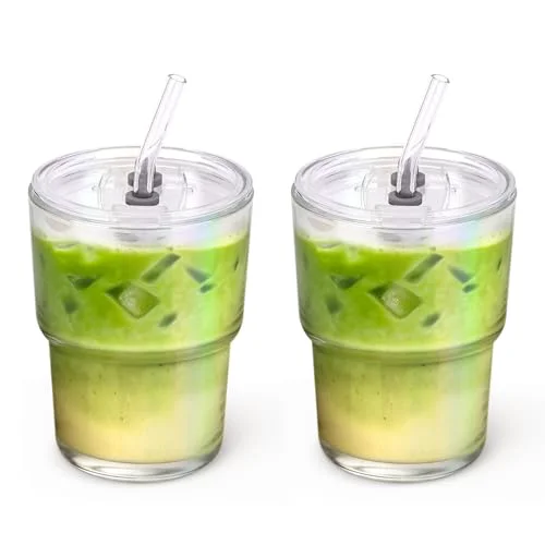 Classic 13 oz Glass Tumbler with Glass Straw and Lid 2 Count Flexible