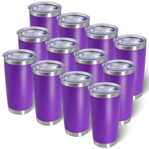 Authentic 20oz Tumbler with Lid Stainless Steel Tumblers Insulated Mug Purple 12P Effective