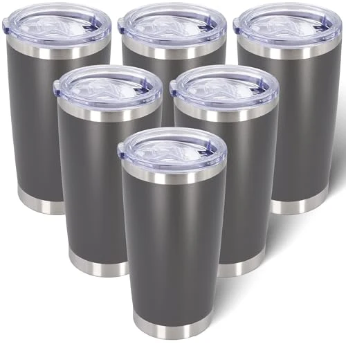 Advanced 20oz Tumbler with Lid Stainless Steel Tumblers Insulated Mug Grey 6P 6 Count Exceptional