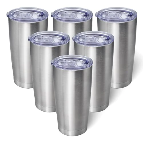 Original 20oz Tumbler with Lid Stainless Steel Tumblers Insulated Mug SS 6P 6 Count Specialty