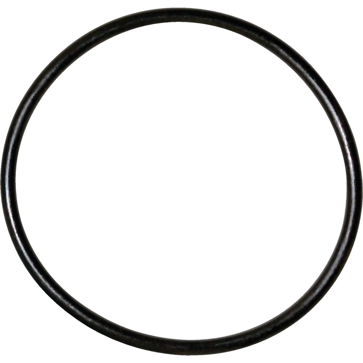 Next-Generation Danco 89 2 In. x 2-3 16 In. Buna-N O-Ring Traditional