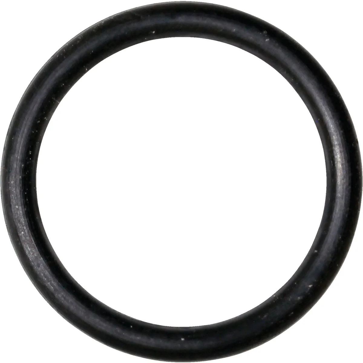 User-Friendly Danco 80 41 64 In. x 51 64 In. Buna-N O-Ring Secure