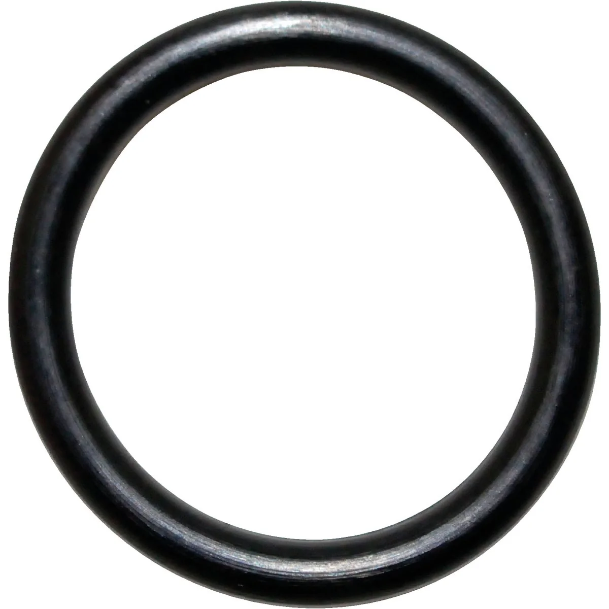 Prestigious Danco 21 15 32 In. x 5 8 In. Buna-N O-Ring Original