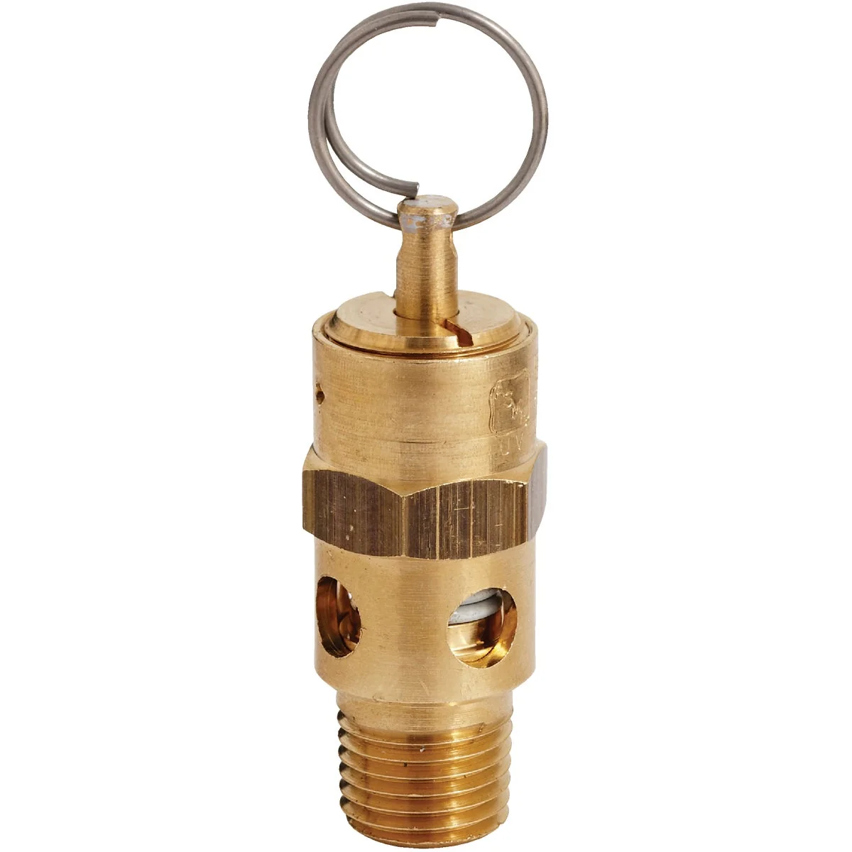Sustainable Milton 1 4 In. MNPT 125 psi Safety Valve Reusable