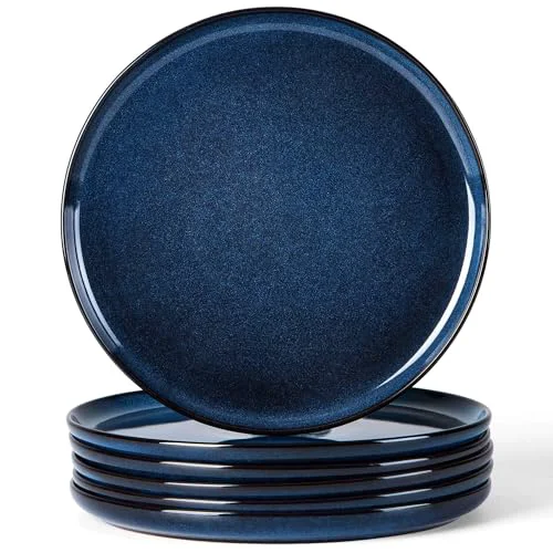 Durable 6 Piece Stoneware Dinner Plates Set Comfortable