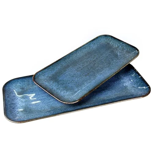 Superior Porcelain Dinner Plates Blue 2 PCS 2 Count Specialty