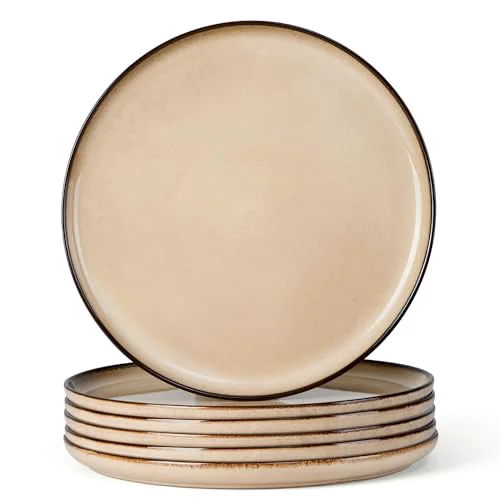 Safe Ceramic 10.43 Inch Dinner Plates Set of 6 6 Count Traditional