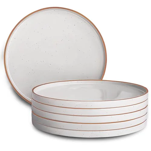 Smooth Mora 10.5 inch Porcelain Dinner Plate Set of 6 6 Count Clean