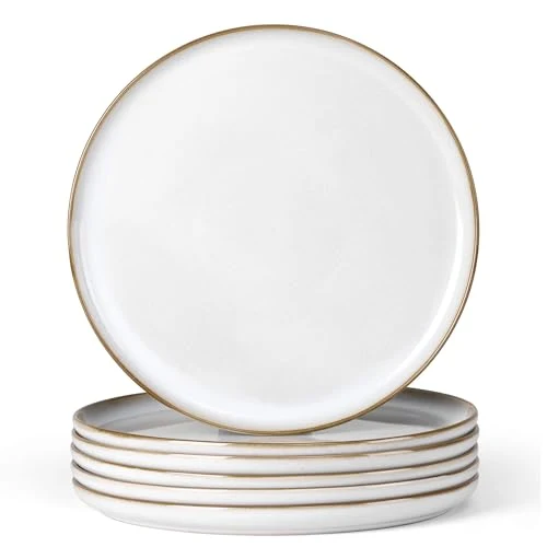 Eco-Friendly Ceramic 10.43 Inch Dinner Plates Set of 6 Specialty
