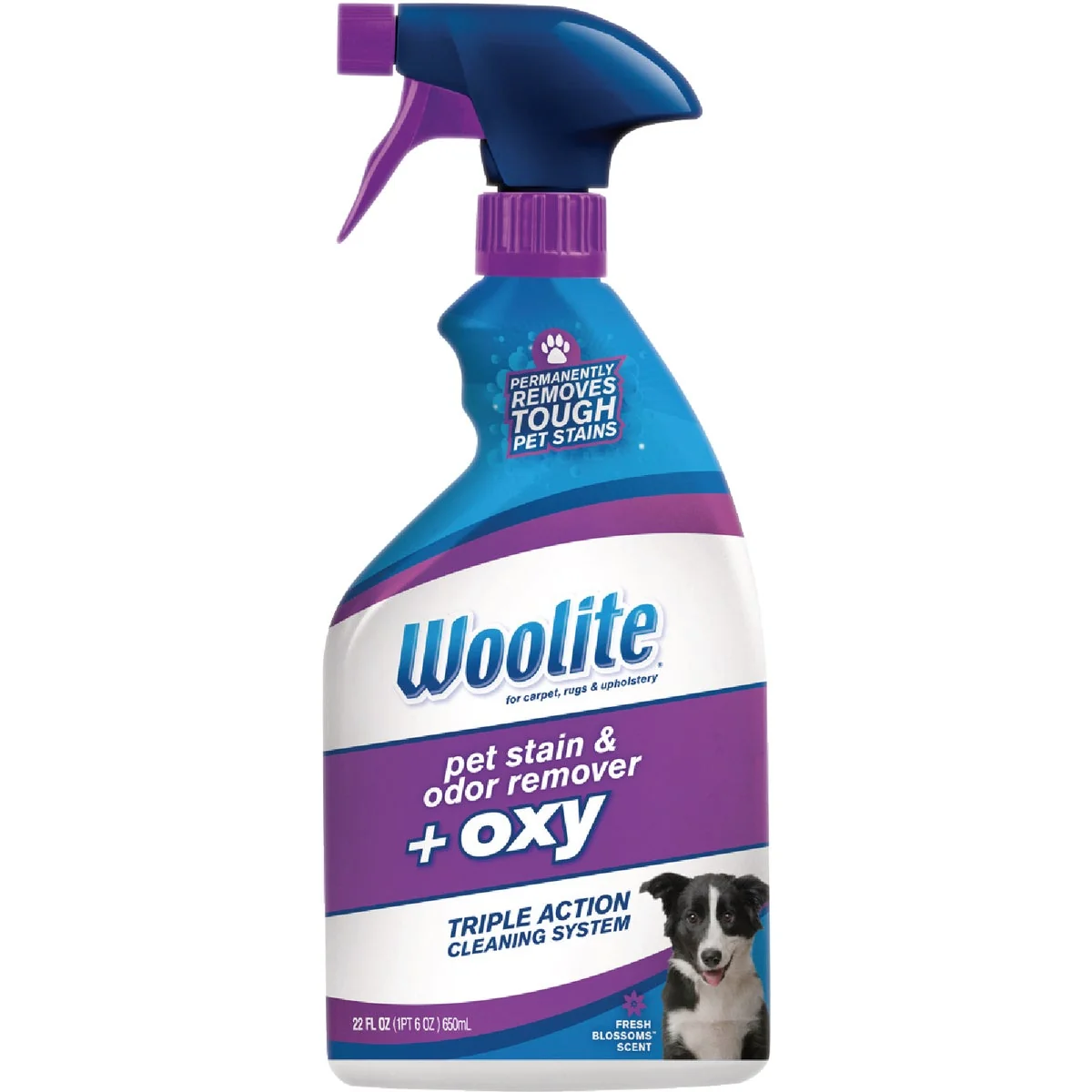 Crafted Woolite 22 Oz. Carpet Pet Stain Odor Remover Oxy Detailed