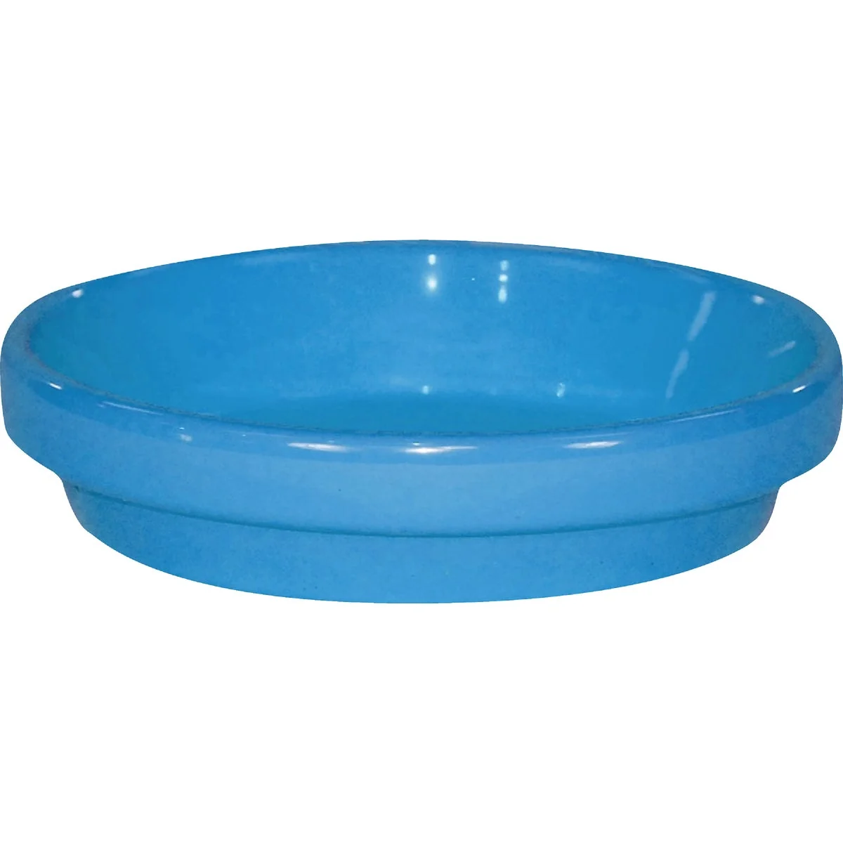 Fine Crafted Ceramo Spring Fever 8 In. Robin’s Egg Blue Clay Flower Pot Saucer Specialty