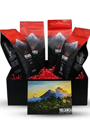 Superior Guatemalan Coffee Gift Box 64 Ounce Elite