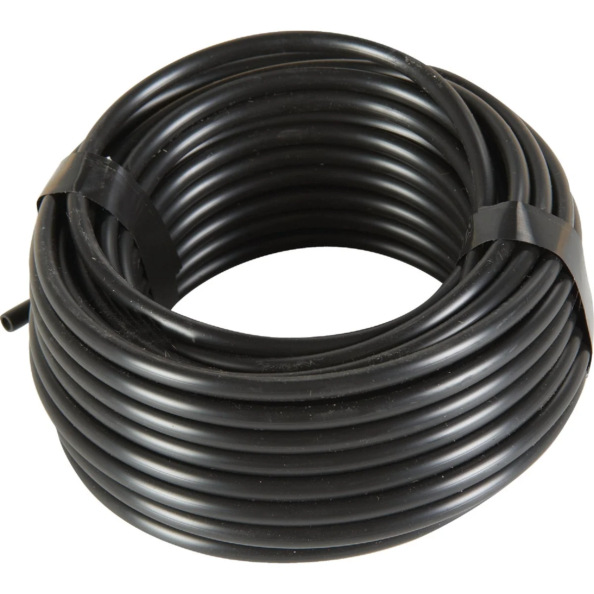 Flexible Raindrip 1 4 In. X 50 Ft. Black Poly Primary Drip Tubing Official