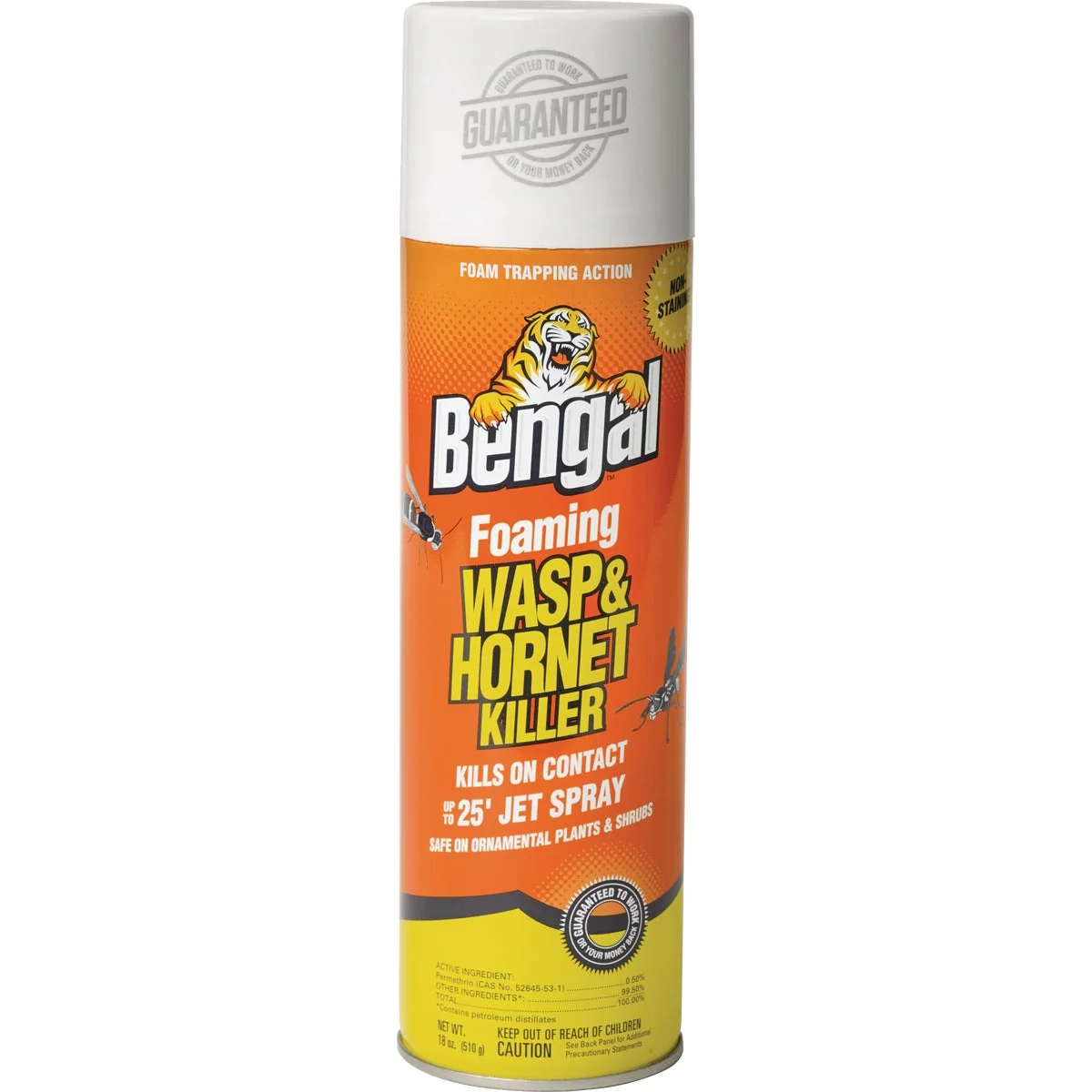 Efficient Bengal 18 Oz. Foaming Aerosol Spray Wasp Hornet Killer Flexible