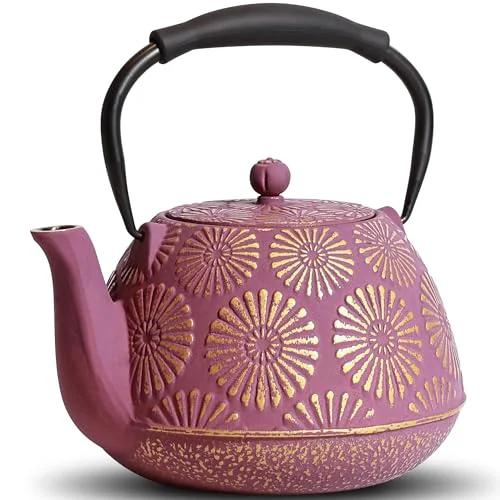 Detailed Cast Iron Teapot Efficient