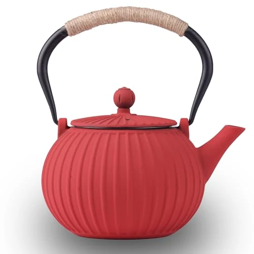 Contemporary Cast Iron Teapot 40oz Infuser Elite