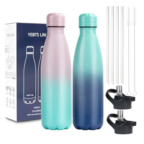 Solid Insulated Water Bottle 2 Count Healthy