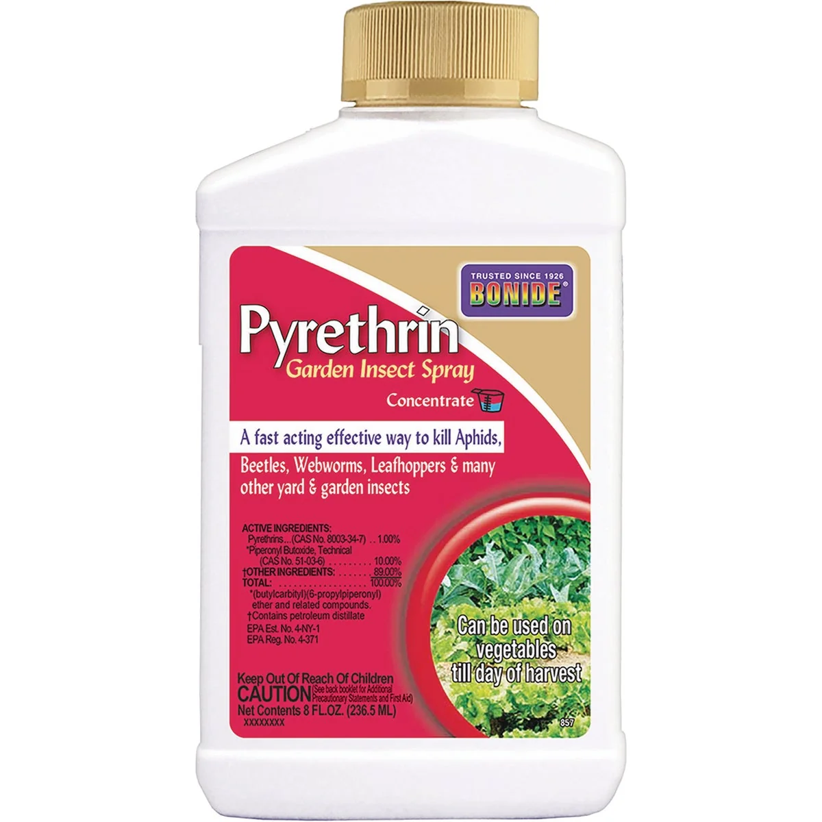 Elegant Bonide 8 Oz. Concentrate Pyrethrin Insect Killer Original