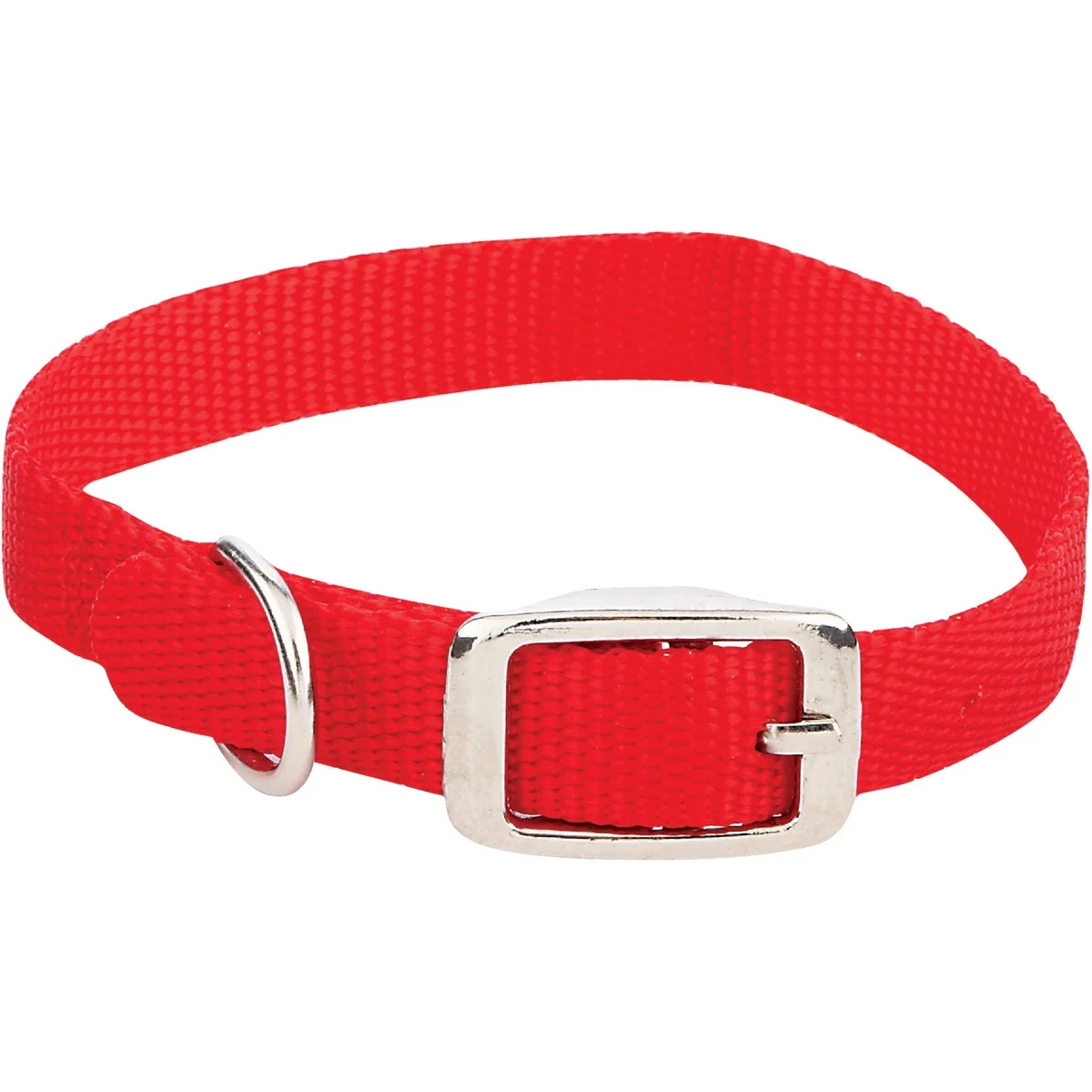 Fast Westminster Pet Ruffin’ it Adjustable 14 In. Nylon Dog Collar Outstanding