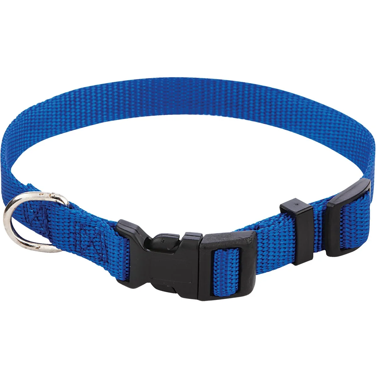 Official Westminster Pet Ruffin’ it Adjustable 10 In. to 16 In. Nylon Dog Collar Clean