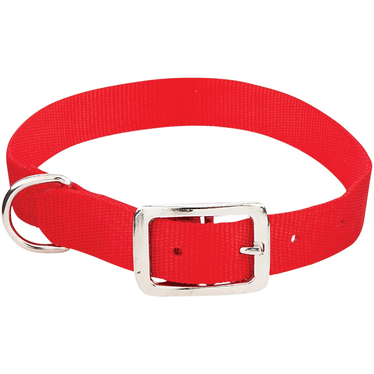 Reliable Westminster Pet Ruffin’ it Adjustable 22 In. Nylon Dog Collar Genuine