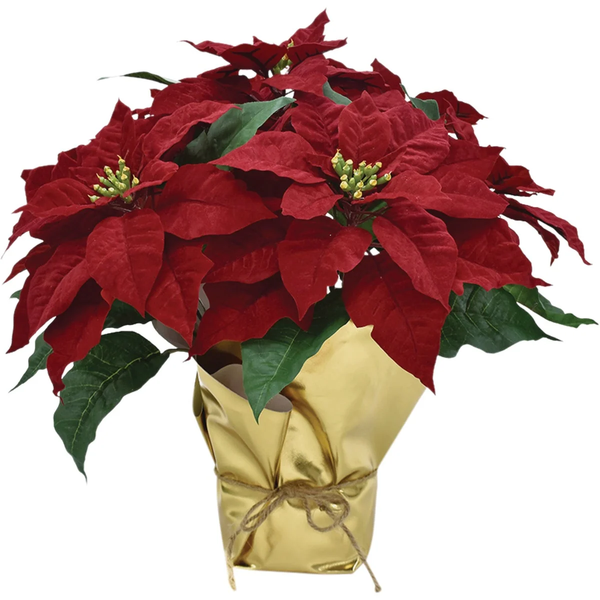 Classic 17 In. Regal Red Poinsettia Fast