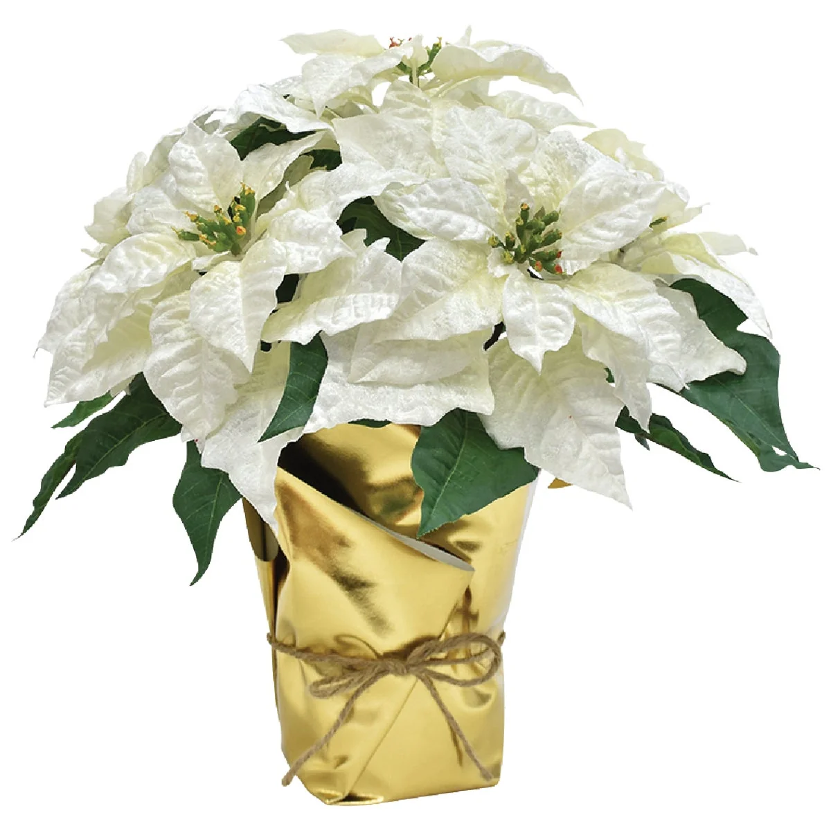 Minimalist 17 In. Winter White Poinsettia Recyclable