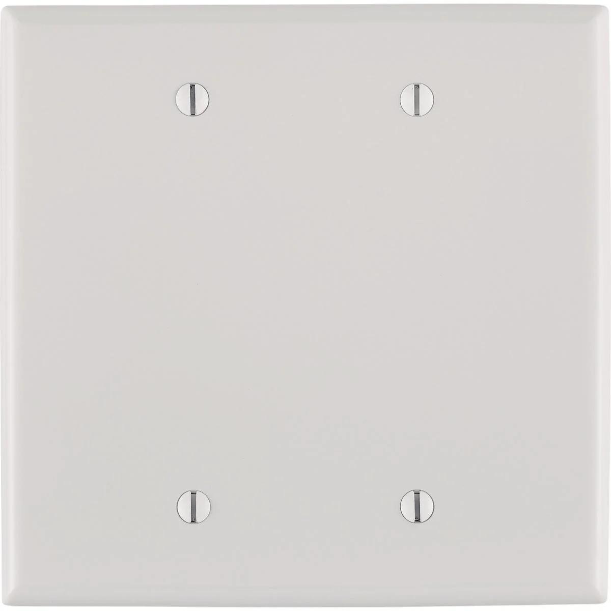 Versatile Leviton 2-Gang Mid-Way Thermoplastic Nylon Blank Wall Plate White Practical