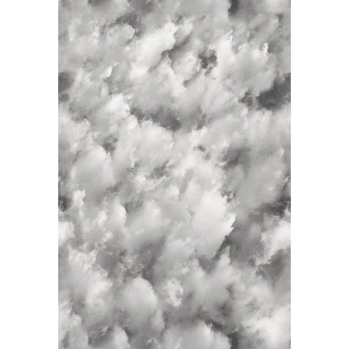 Functional Artscape 24 In. x 36 Clouds Window Film Green