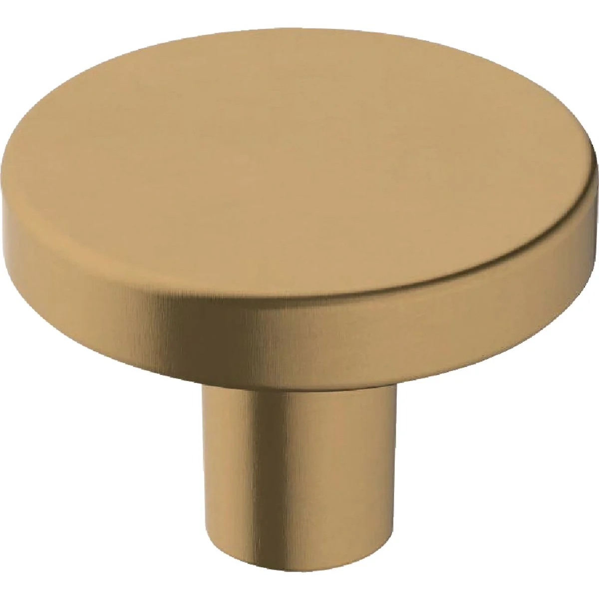 Next-Generation Amerock Versa 1.375 In. Dia. Round Champagne Bronze Cabinet Knob Breathable