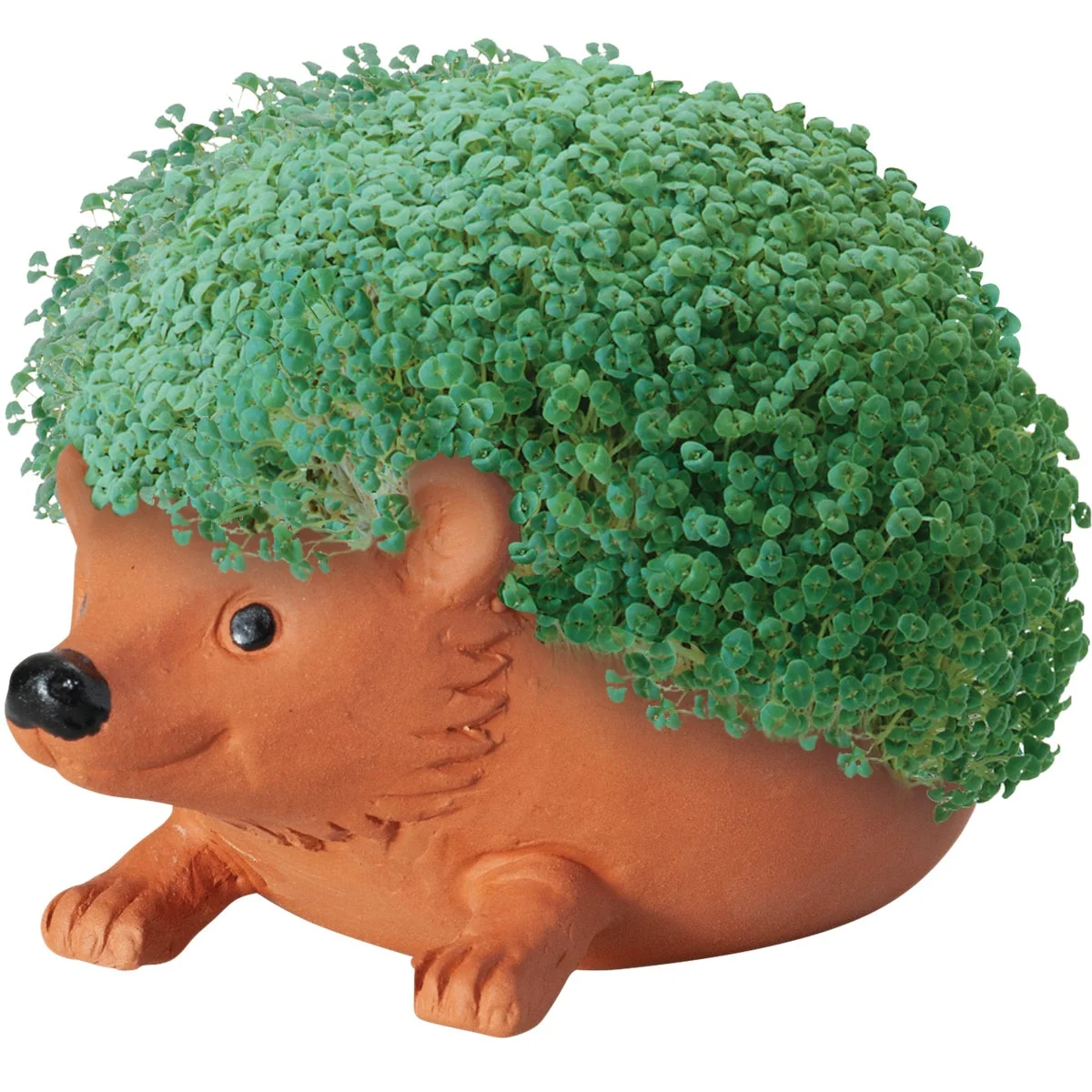 Minimalist Chia Pet Hedge Hog Decorative Pottery Planter Prestigious