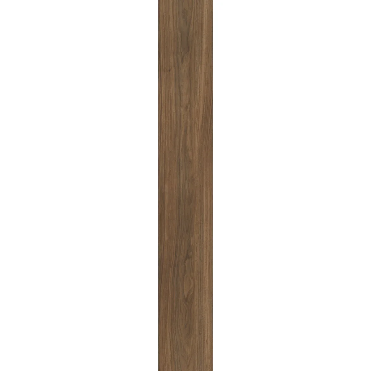 Exceptional Shaw Floorte Pro Endura Plus Modern Classic 7 In. W x 48 In. L Vinyl Rigid Core Floor Plank 18.67 Sq. Ft. Case Specialty