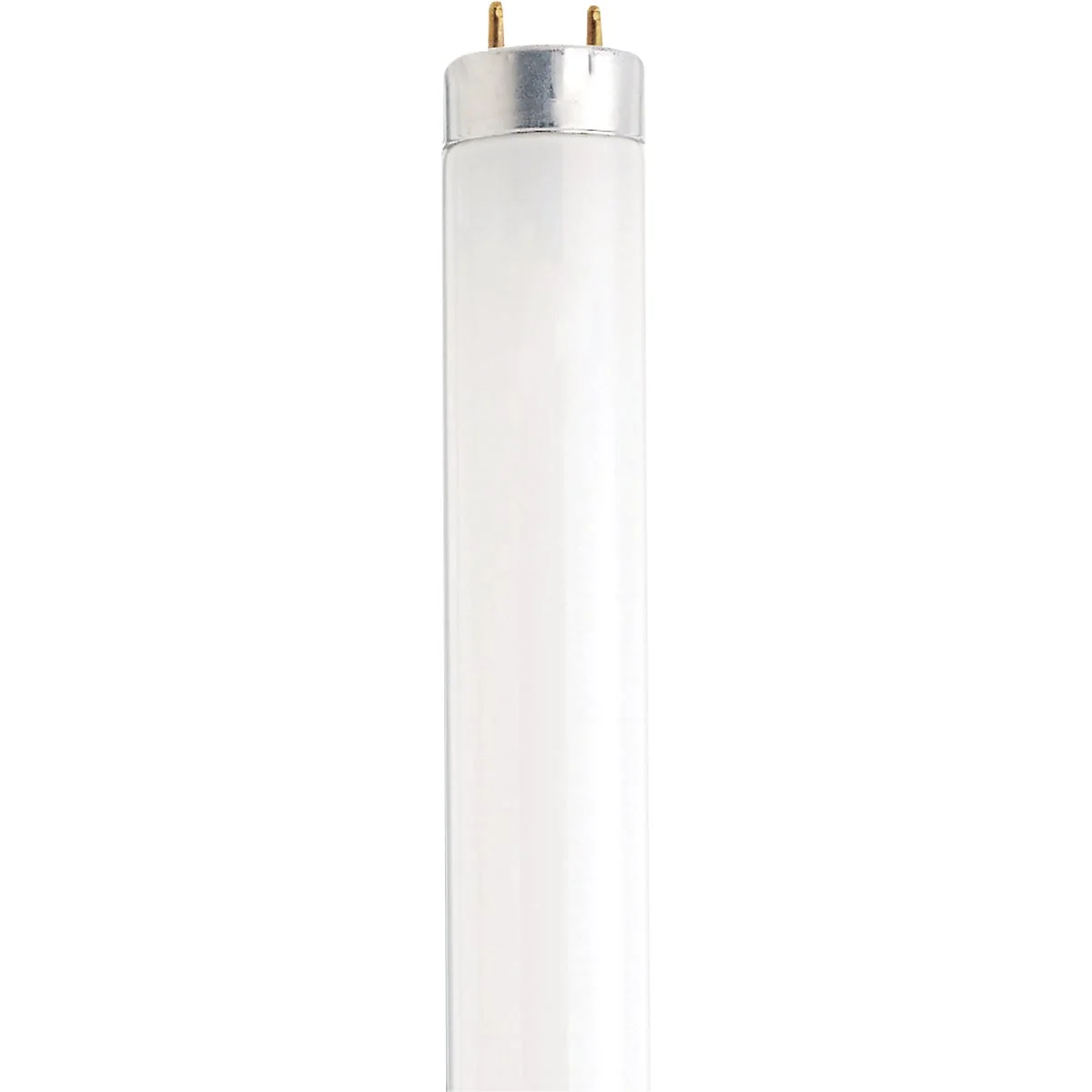 Reusable Satco 15W 18 In. T8 Bi-Pin Cool White Fluorescent Tube Light Bulb Trendy