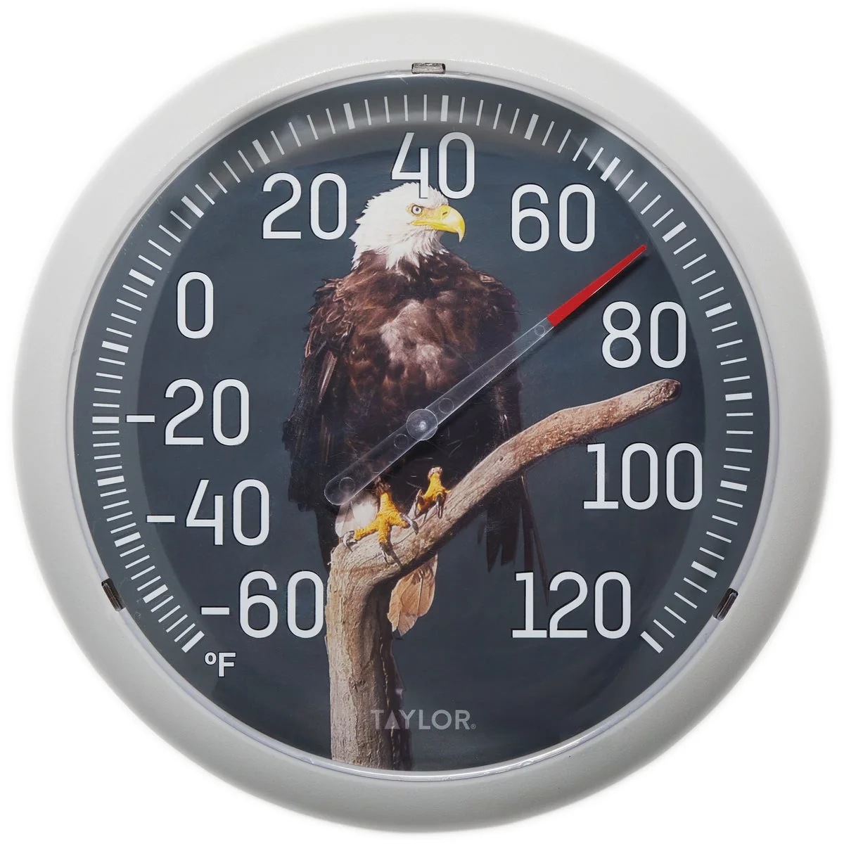Refined Taylor 13.25 In. Eagle Nature Round Dial Thermometer Original Design