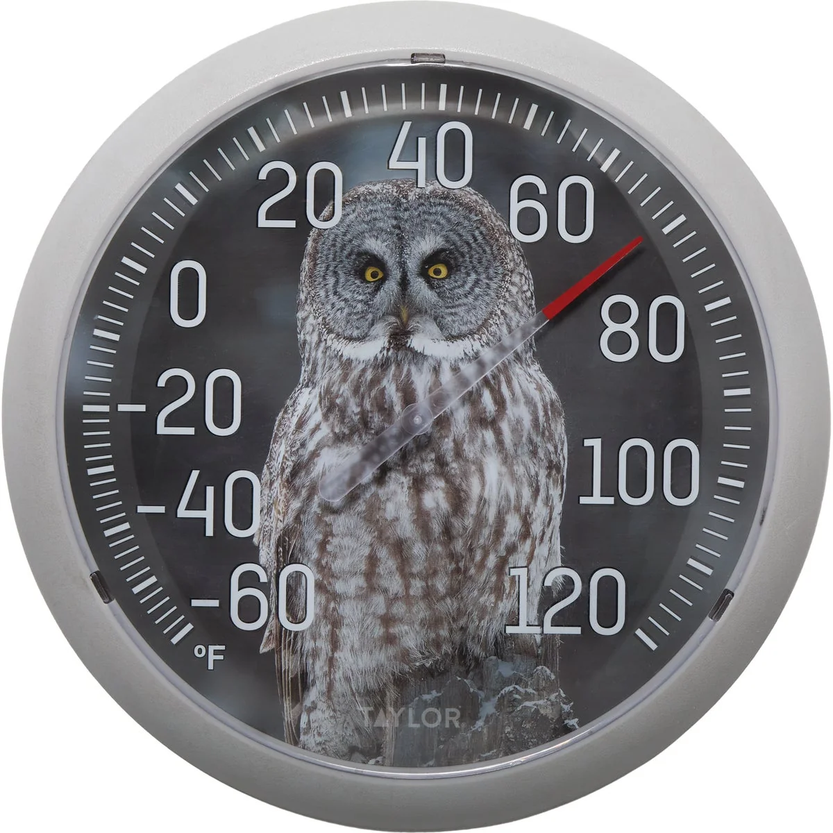 Next-Generation Taylor 13.25 In. Owl Nature Series Round Dial Thermometer World-Class