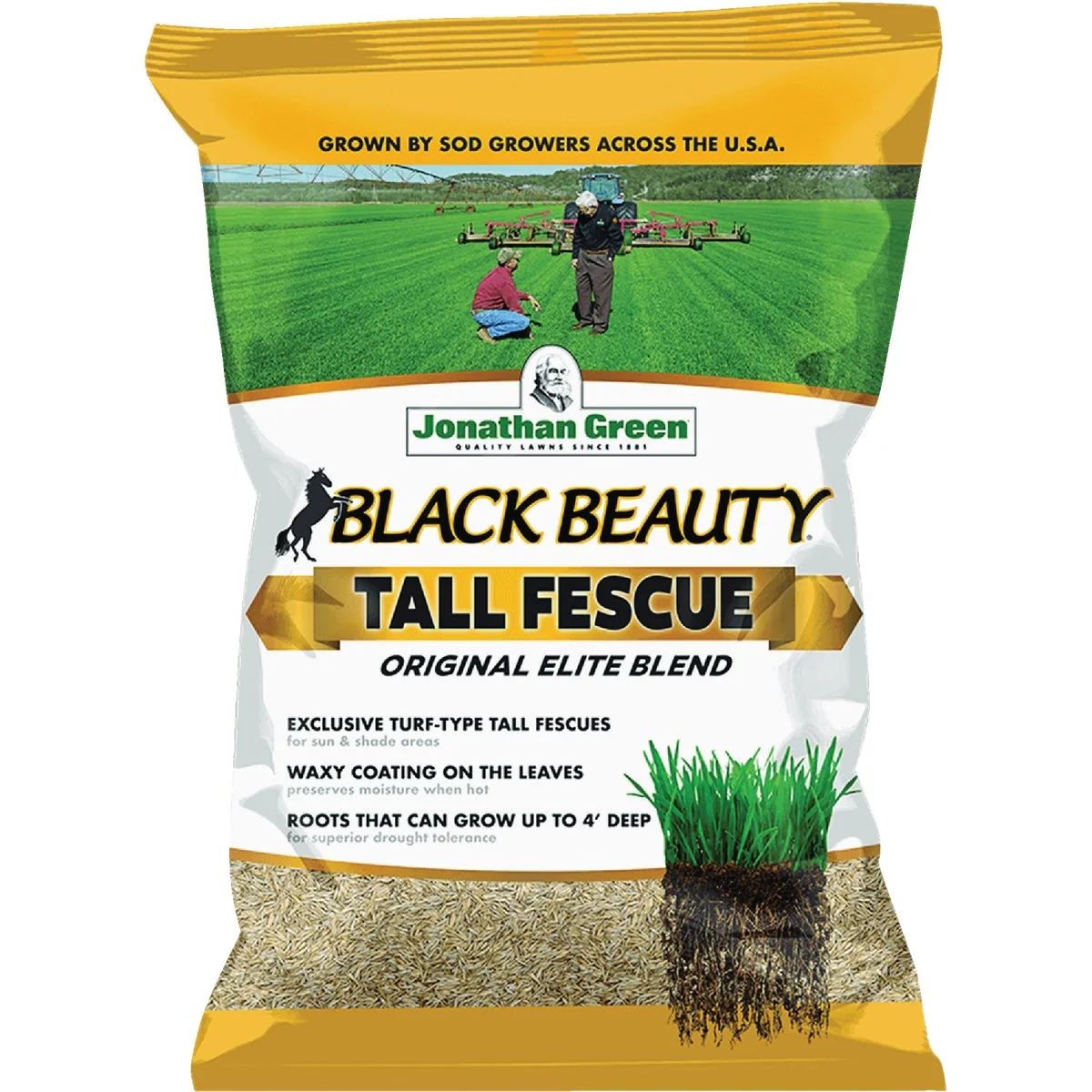 Solid Jonathan Green Black Beauty 7 Lb. Tall Fescue Elite Blend Grass Seed Authentic